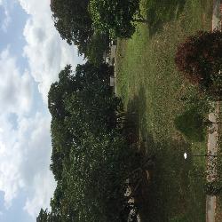 Blk 267 Bukit Batok East Avenue 4 (Bukit Batok), HDB 3 Rooms #44669762